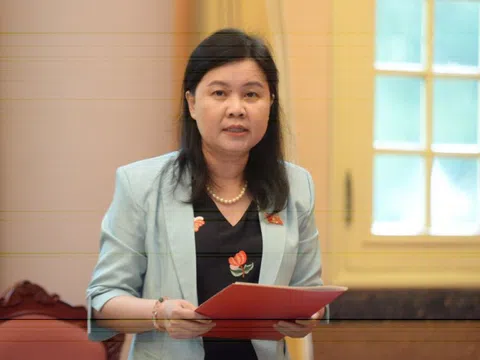 Sửa đổi, bổ sung một số điều của Hiến pháp là 'khởi đầu cho một công cuộc cải cách sâu sắc'
