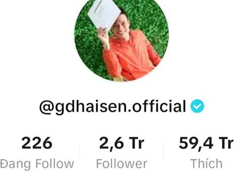 Chủ kênh TikTok 'Gia đình Hải Sen' có 2,6 triệu người theo dõi bị bắt