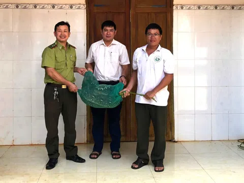 Trăn gấm quý hiếm bò vào nhà dân bắt gà trong đêm