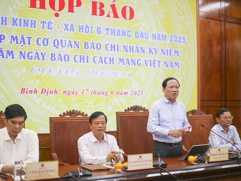 6 tháng đầu năm, Bình Định thu hút 58 dự án mới