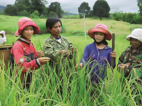 Hợp nhất chương trình nông thôn mới và giảm nghèo bền vững