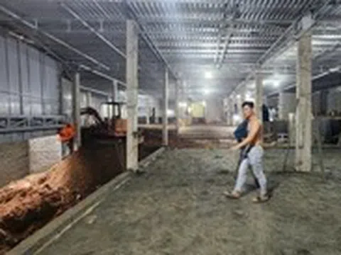 Yêu cầu dừng ngay công trình trái phép, phạt 1 lần vẫn tiếp tục xây dựng trên đèo Bảo Lộc