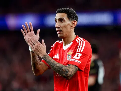 Nhận định Benfica vs Auckland City, 23h00 ngày 20/6: 'Đại bàng đỏ' tung cánh bay