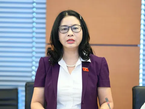 Đại biểu Quốc hội đề nghị nghiên cứu kỹ ngưỡng ‘kích hoạt’ tình trạng khẩn cấp