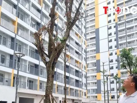Đề xuất không thu quá 95% giá nhà ở xã hội trước khi cấp sổ đỏ