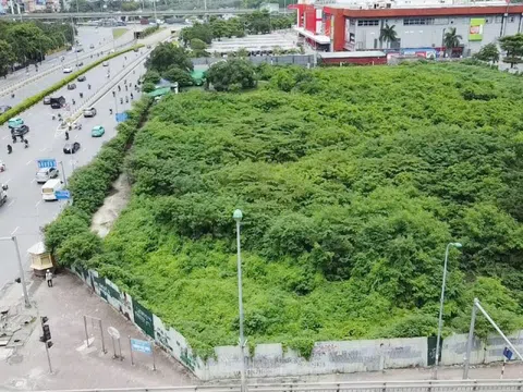 Dự án tháp tài chính gần 4.000 tỷ đồng ở Hà Nội 'hoá rừng' sau 20 năm ôm đất lãng phí