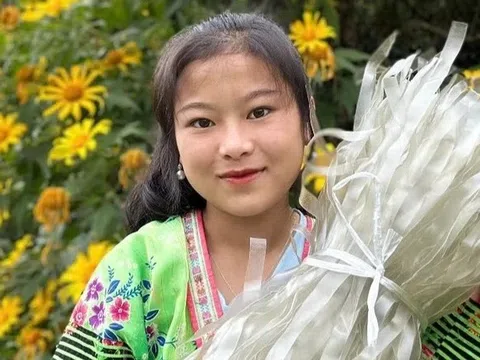 TikToker Việt lao đao