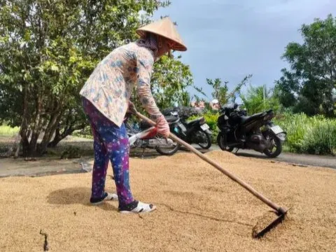 Cà Mau: Hủy quyết định kỷ luật cán bộ do sai căn cứ pháp lý