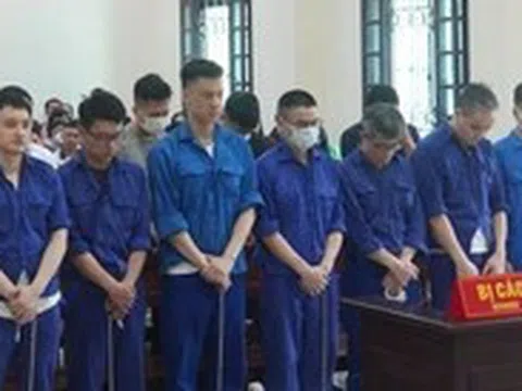 Hoãn phiên tòa xét xử 14 cựu cán bộ Hải quan Hải Phòng do luật sư vắng mặt
