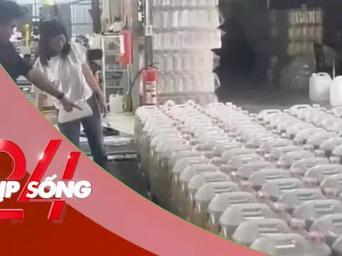 NHỊP SỐNG 24: Dầu chăn nuôi thành dầu ăn cho người: Độc hại cỡ nào?