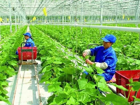 Thứ trưởng Nông nghiệp: Giảm phát thải mới dừng lại ở dự án nhỏ lẻ