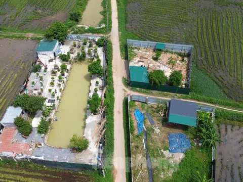 Nhiều công trình vi phạm đất đai, trật tự xây dựng ở Hà Nội chưa được xử lý dứt điểm
