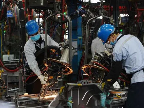 Doanh nghiệp châu Âu phàn nàn về 'rào cản' thủ tục hành chính