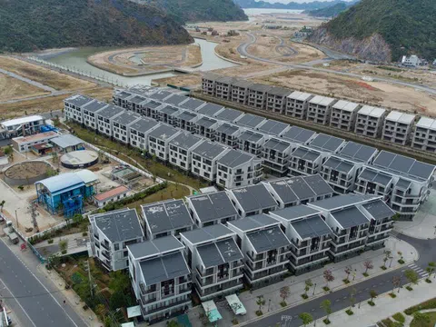 Vinaconex muốn thoái toàn bộ vốn tại Cát Bà Amatina, dự thu hơn 5.000 tỷ đồng