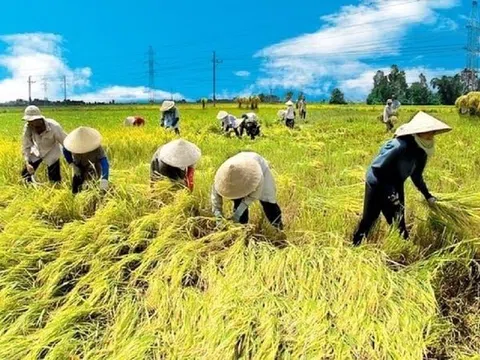 Đưa nông sản Việt vượt bão thuế, hướng tới kim ngạch 65 tỷ USD