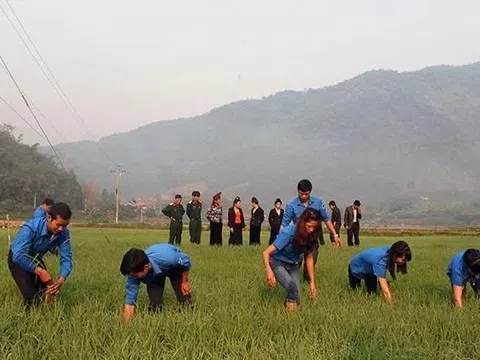 Chính phủ yêu cầu tiếp nhận đội viên thuộc đề án 500 tri thức trẻ vào công chức xã