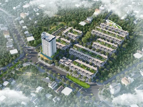 PGBank Thăng Long – đối tác tài chính duy nhất của Dự án Green Oasis Cổ Bi