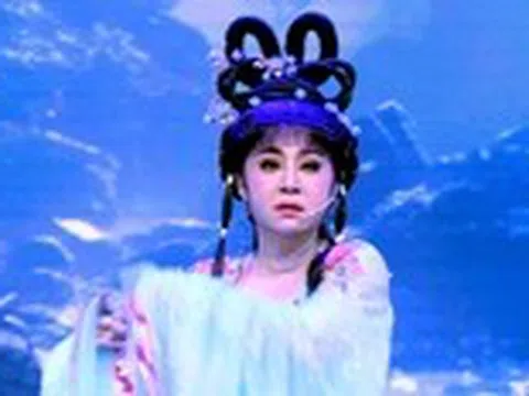Thoại Mỹ bay từ Mỹ về diễn cùng Huỳnh Long