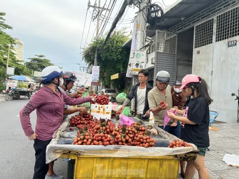 Vải thiều đại hạ giá tại TPHCM