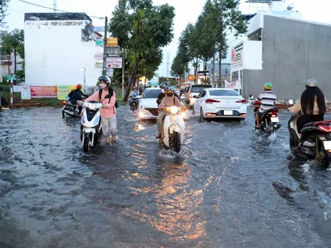 Chủ tịch Cần Thơ treo thưởng 50 triệu đồng, cất nhắc cán bộ có sáng kiến chống ngập