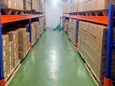 Pallet từ phế phẩm nông nghiệp vào chuỗi cung ứng toàn cầu