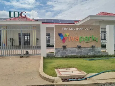 Bất thường cổ phiếu LDG