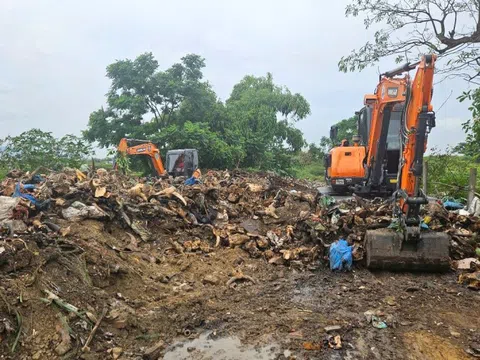 Nghệ An: Thu dọn 'nghĩa địa đầu bò'