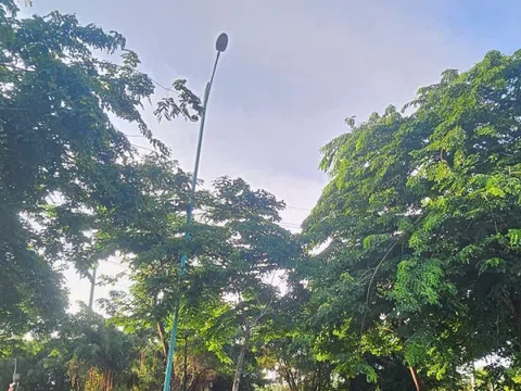Dây điện đường Xuyên Á bị mất trộm, chủ đầu tư... không còn cấp để kiểm điểm