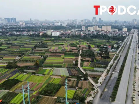 34 tỉnh, thành phải kiểm kê đất đai sau sắp xếp, xong trước ngày 20/8