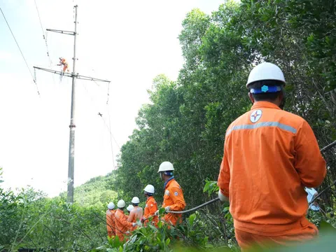 Thanh Hóa: Khai thác cây keo bị đổ vào đường dây gây cháy, chập điện