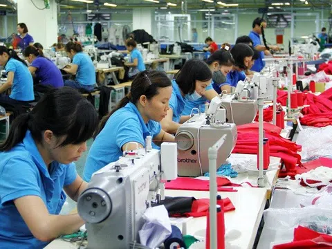 Tất cả lao động từ 16 tuổi đều được 'định danh' trong dữ liệu quốc gia