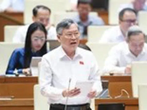 Hàng nhái đăng ký nhãn hiệu gần giống thương hiệu đang lưu hành, sau đó kiện ngược