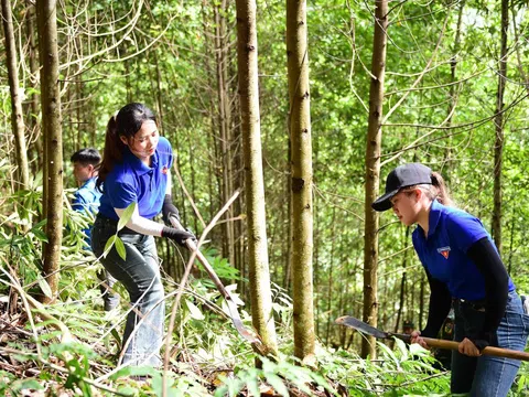 'Áo xanh' Lào Cai cùng lúc thực hiện hỗ trợ hai việc lớn, quan trọng