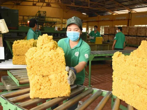 Cao su Đồng Nai – 50 năm dựng xây và phát triển bền vững