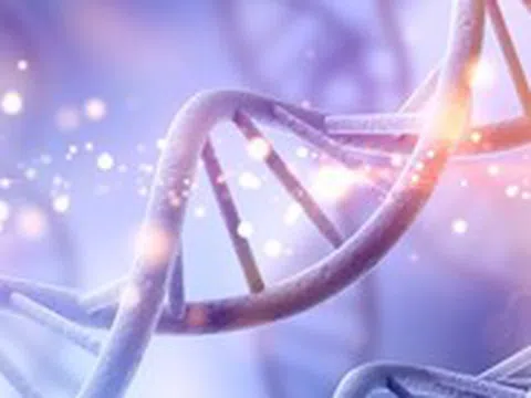 Phát hiện mã di truyền bí mật trong ADN người