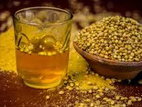 Uống nước hạt ngò trị mụn, sáng da trong 2-3 tuần: Lợi ích có như lời đồn?