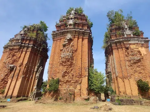 Nghiên cứu khai quật khảo cổ cụm tháp Chăm Dương Long