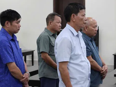Nhóm lãnh đạo xã lãnh án vì ký 114 hồ sơ khống bán 44ha đất rừng phòng hộ