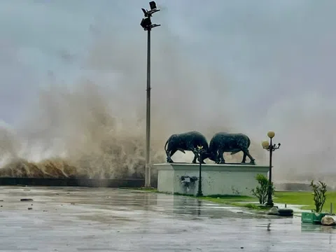 70% Biển Đông có bão trong vài ngày tới, dự báo vào thẳng vịnh Bắc Bộ