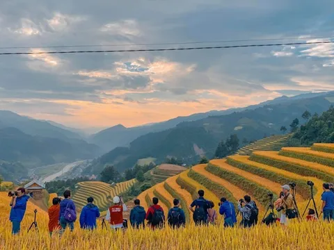 Ngọn đồi ở Mù Cang Chải là điểm ngắm mùa lúa chín siêu thực: Du khách nhận xét "Nhất định phải đến!"