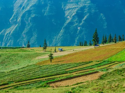Thảo nguyên rộng lớn ngay vùng núi phía Bắc, cách Hà Nội 400km: Du khách nhận xét "như Châu Âu thu nhỏ"