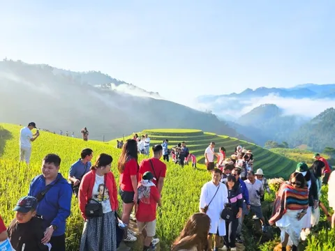 Cảnh tượng diễn ra giữa ruộng bậc thang Mù Cang Chải khiến nhiều người ngỡ ngàng: Hoá ra đây là lý do homestay thi nhau "cháy" phòng