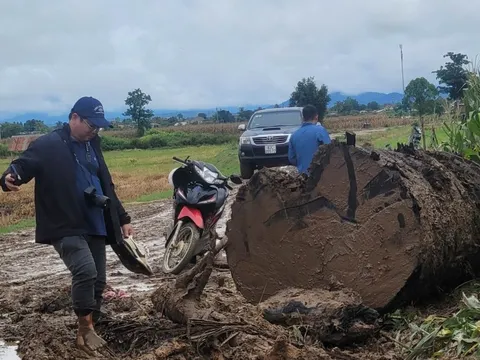 Giao công an làm rõ nhóm người lạ đưa xe múc đào bờ sông Ayun để lấy gỗ 'khủng'
