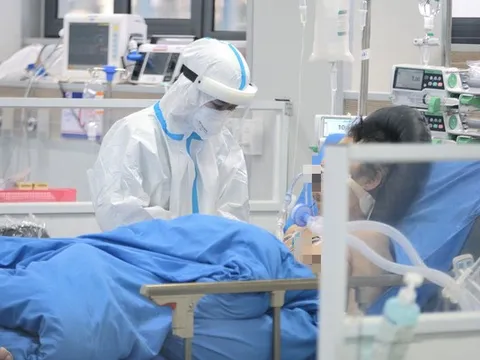 Bạn đọc Tuổi Trẻ ủng hộ chủ trương xây Đài tưởng niệm nạn nhân COVID-19