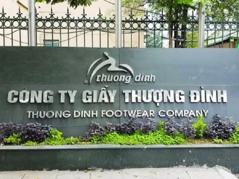 UBND TP Hà Nội thoái vốn, Giày Thượng Đình sắp đổi chủ?