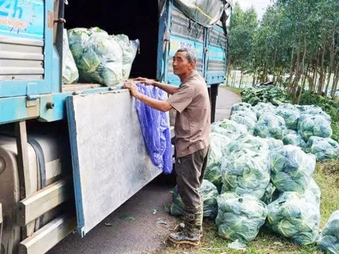 Kêu gọi ưu tiên hàng hóa, khuyến mãi cho vùng lũ: Dùng đồ ngon và đừng tăng giá quá đáng