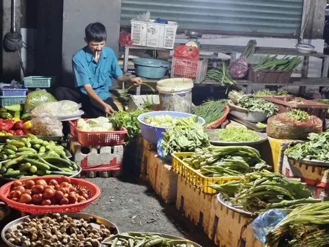 Giá rau hạ nhiệt liên tục, có loại còn 5.000 đồng/kg