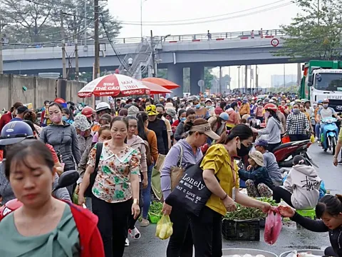 Gắng 'cày cuốc' để về quê ăn tết: Thức khuya dậy sớm vượt khó